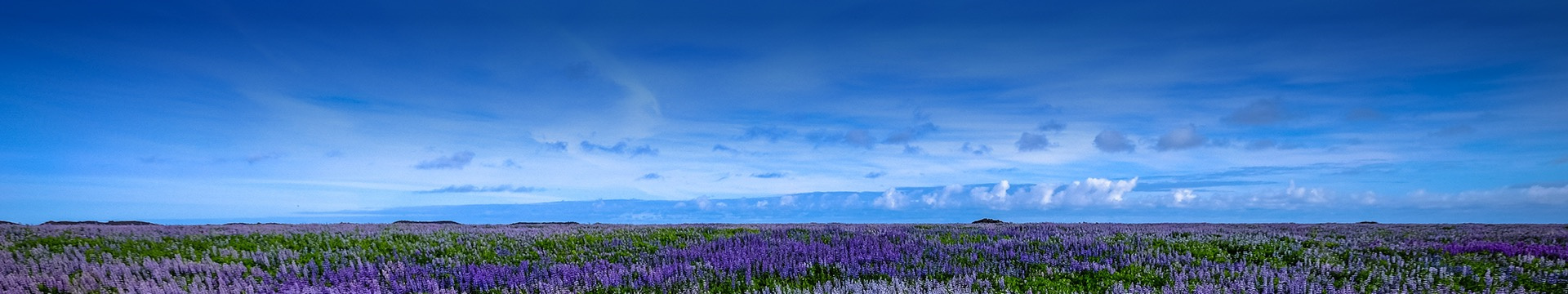 阜阳万福山生态陵园